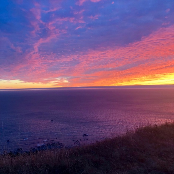 Meet your Posher, Taryn - Picture 1 of 1